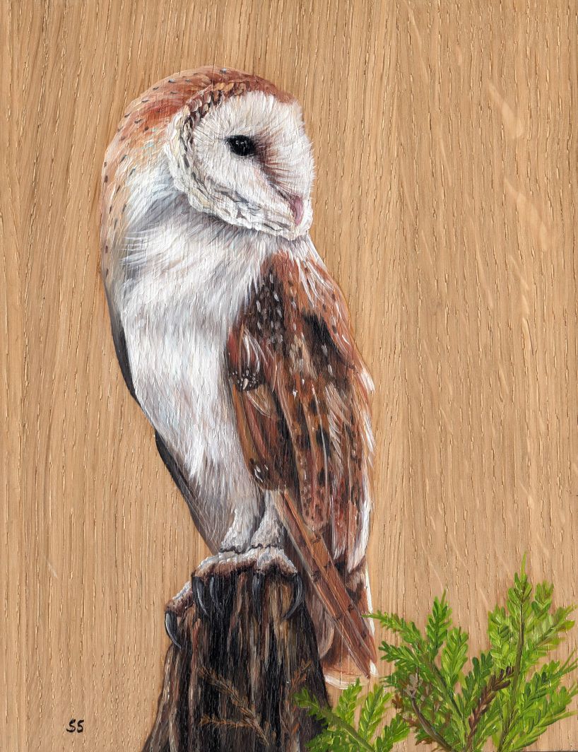 Barn owl oil painting on wood 20% off easter sale!