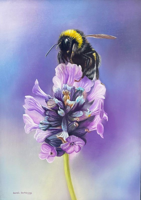 Bee on lavender Original oil painting on wood *FRAMED* SALE