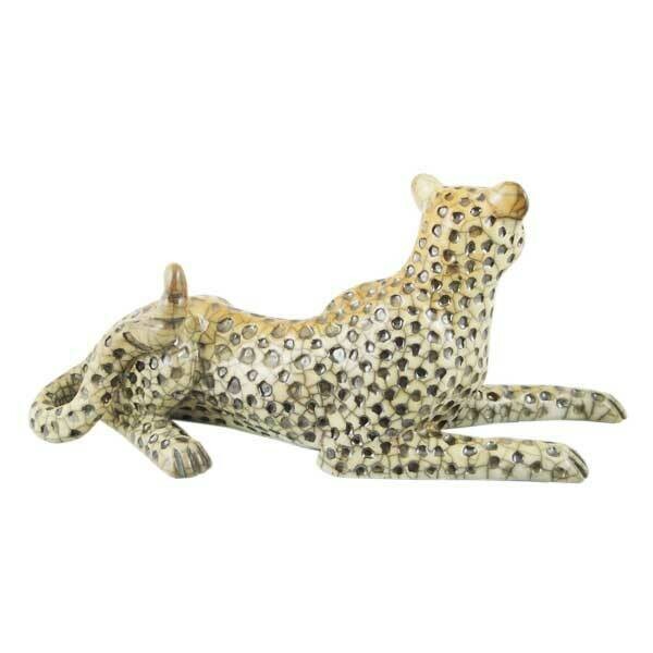 Cheetah lying