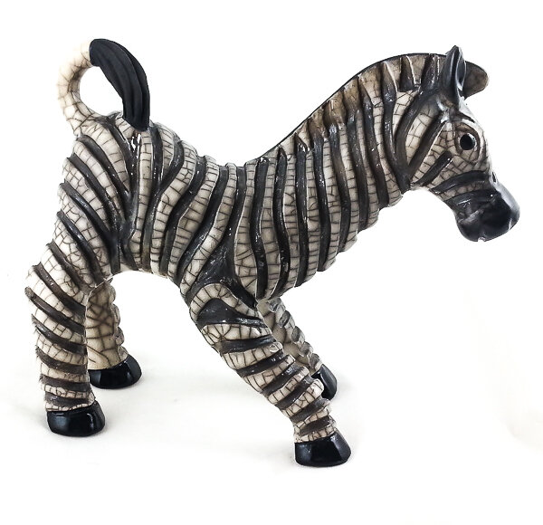 Zebra Foal
