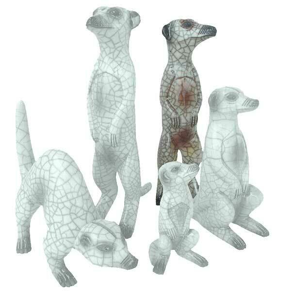 Meerkat Female