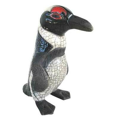 Jackass Penguin