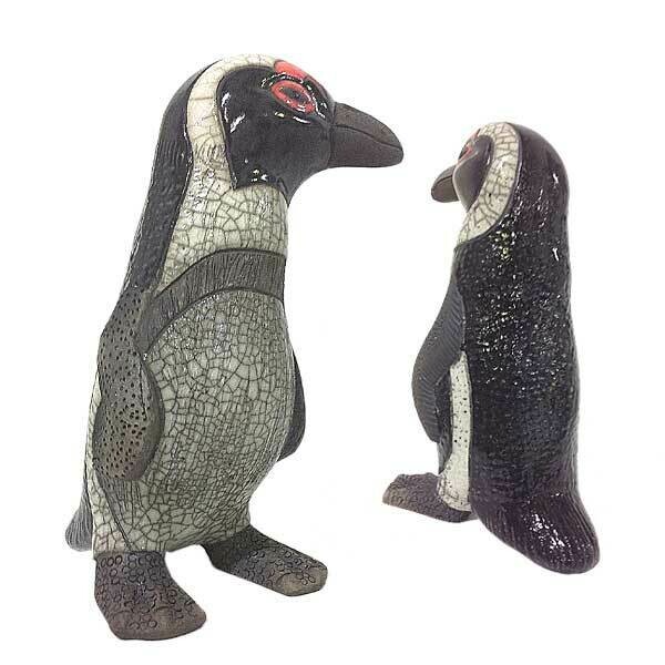 Jackass Penguin