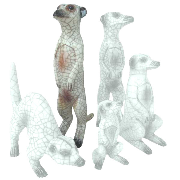 Meerkat Male