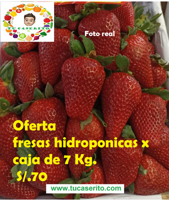 Fresas hidroponicas  x caja de 7 Kg.