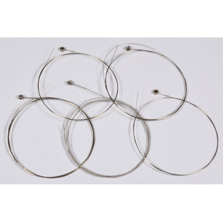 AVSL G-Banjo 5-String Set