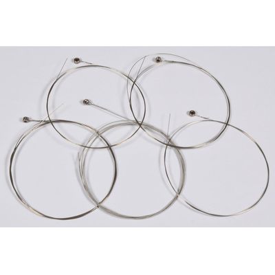 AVSL G-Banjo 5-String Set