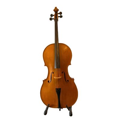 David B. Puttergill "The Goodlife Cello" No. 1 (Sheffield, 2013)