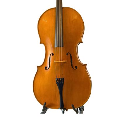 David B. Puttergill "The Goodlife Cello" No. 1 (Sheffield, 2013)