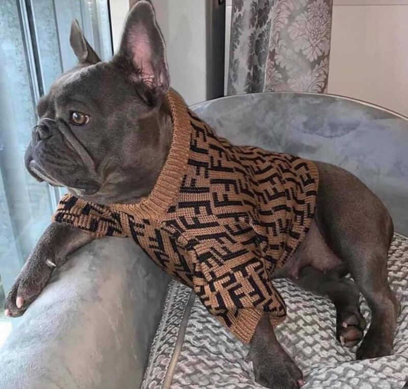 Doggie Sweater