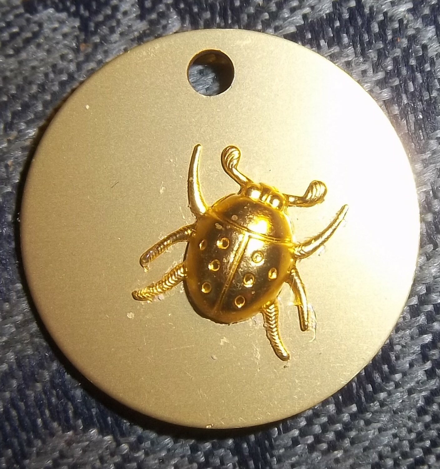 GOLDEN Ladybug on Auric Disk 00008