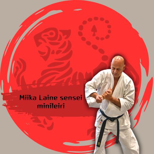 Miika Laine minileiri