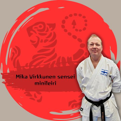 Mika Virkkunen minileiri