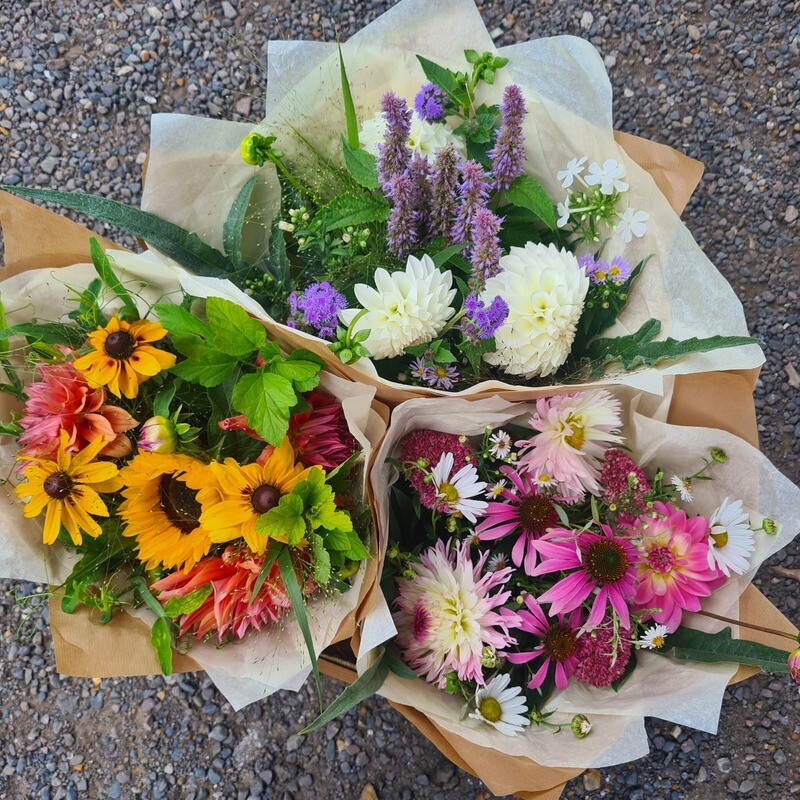 Honesty Stall - Large mixed bouquet