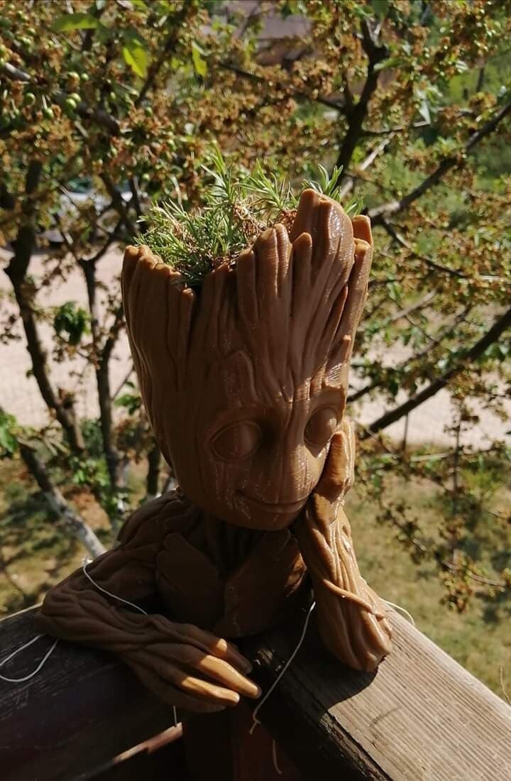 Groot penseur pot de fleur