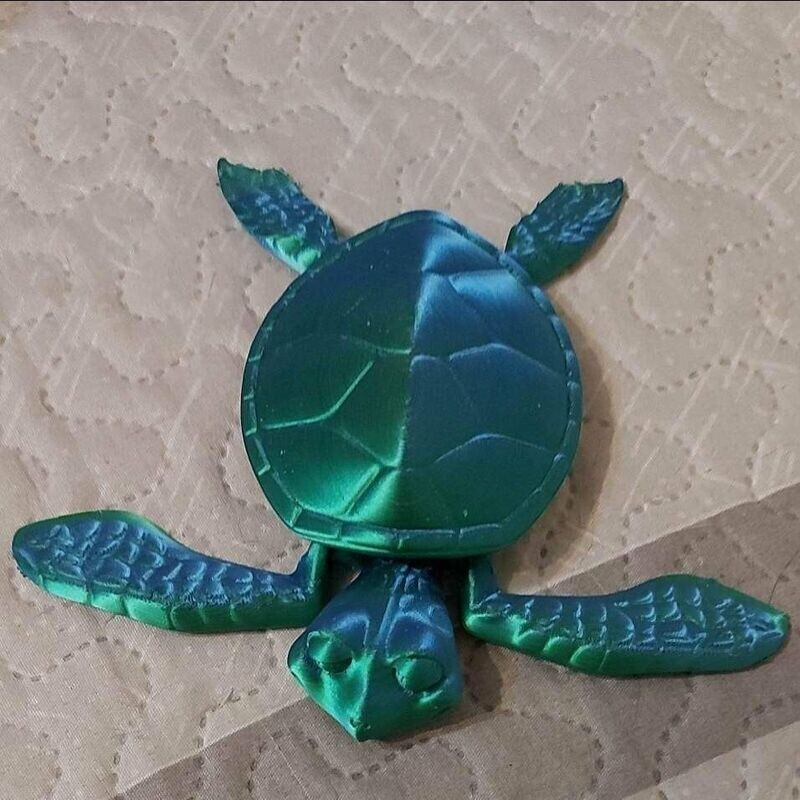 TORTUE ARTICULE