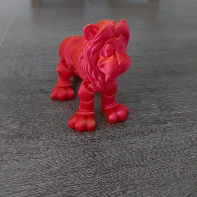LION ARTICULE