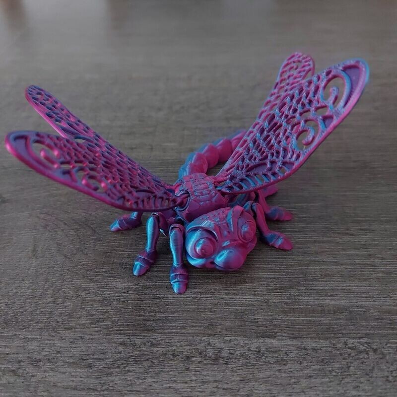 LIBELULE ARTICULE