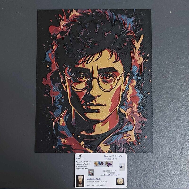 TABLEAU HARRY POTTER 24*19
