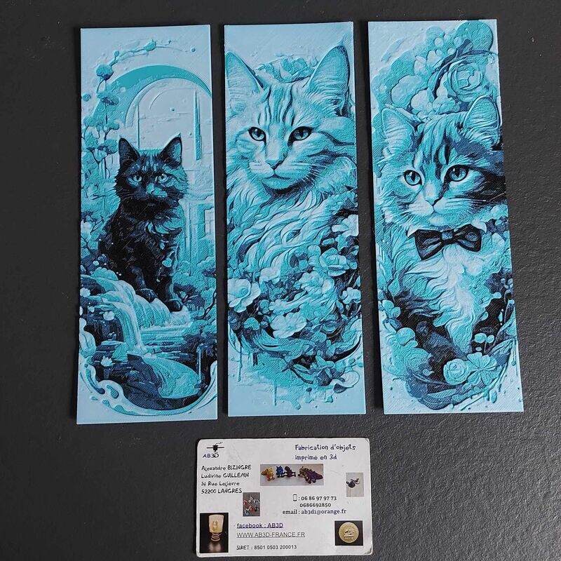 MARQUE PAGE CHAT Fantastique