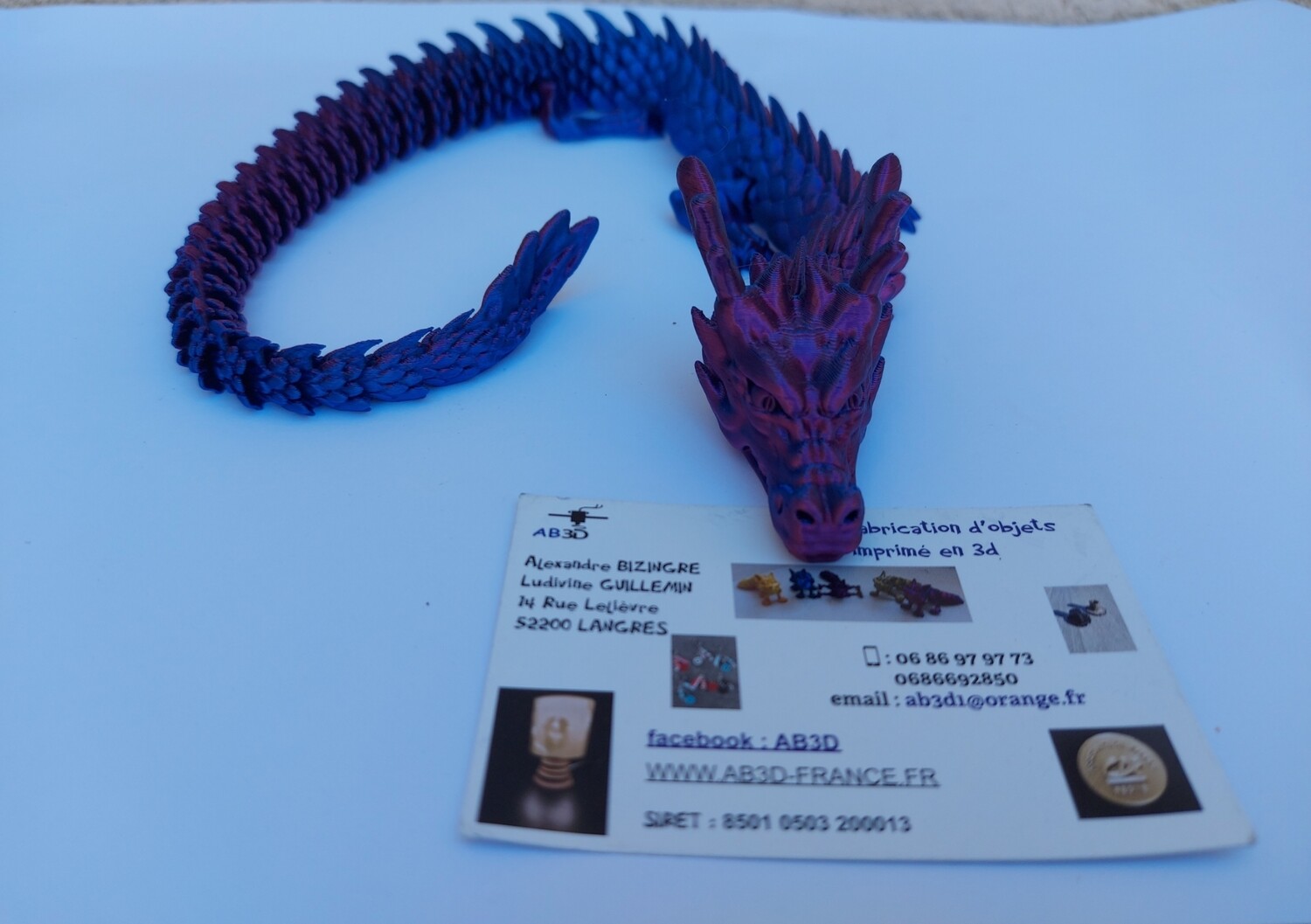 Dragon articulé bicolore