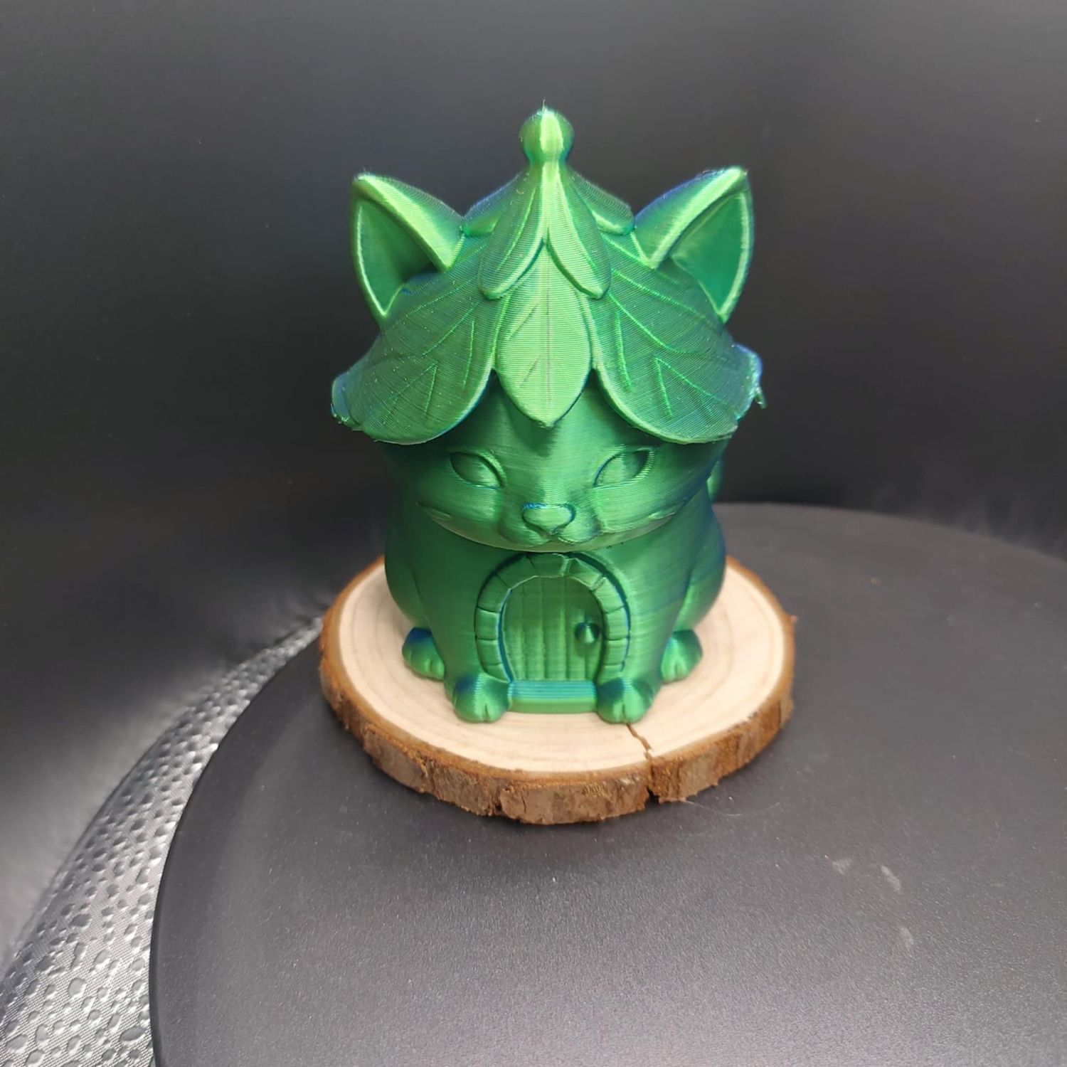 MAISON CHAT