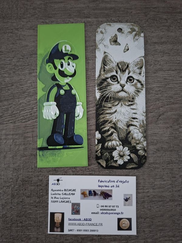 MARQUE PAGE DIVERSES POCHE