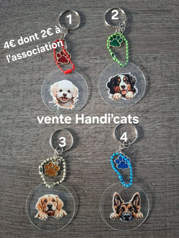 VENTE HANDICATS