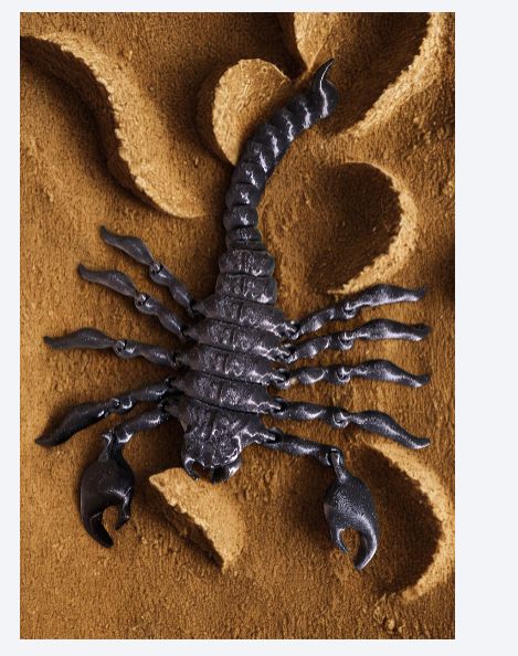 SCORPION DES SABLES