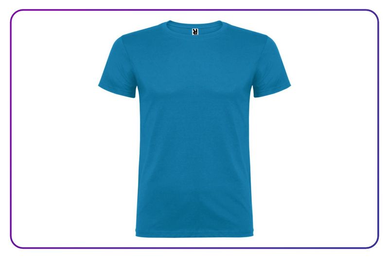 Camiseta Beagle | Roly