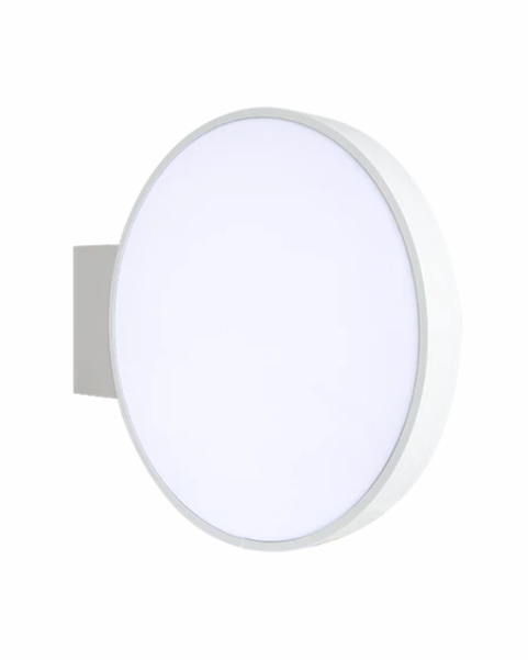 Banderola Luminosa LED Redonda - 1 ud.