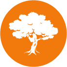 OVM's Legum Legacy