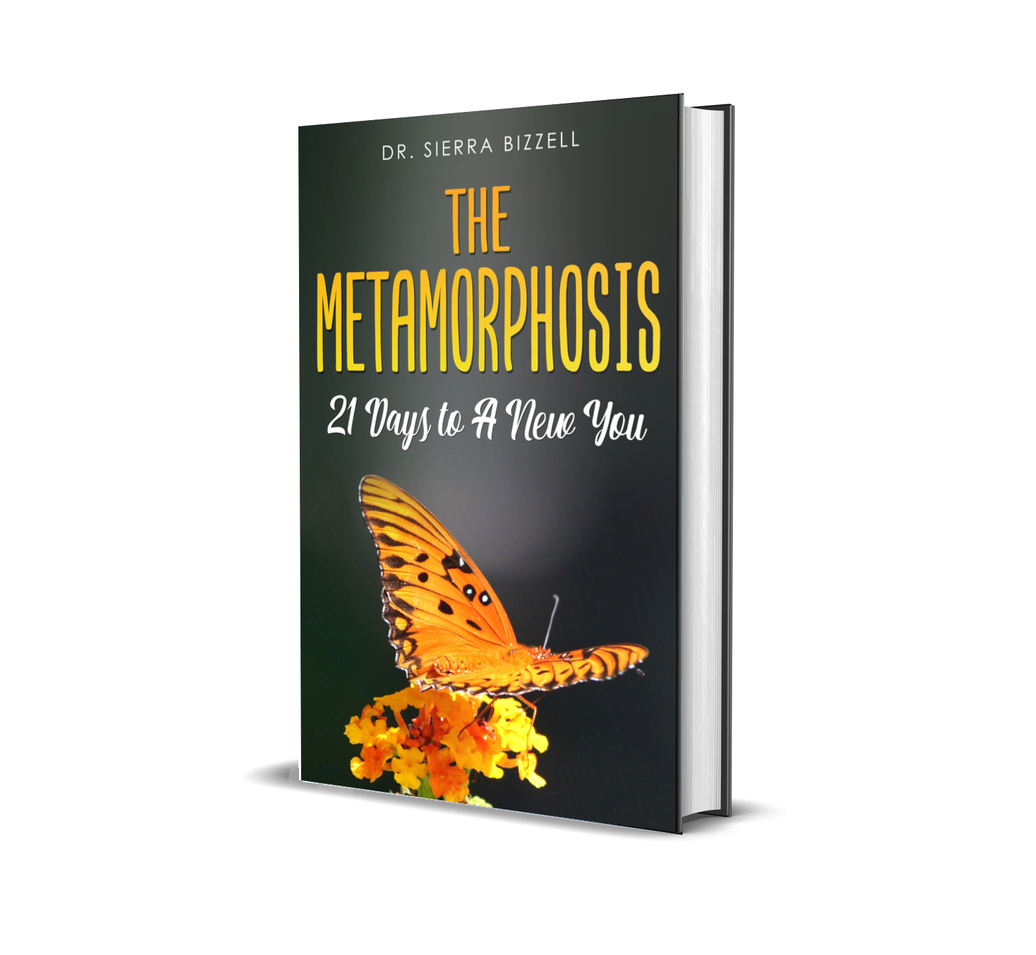 The Metamorphosis: 21 Days to A New You (Ebook)
