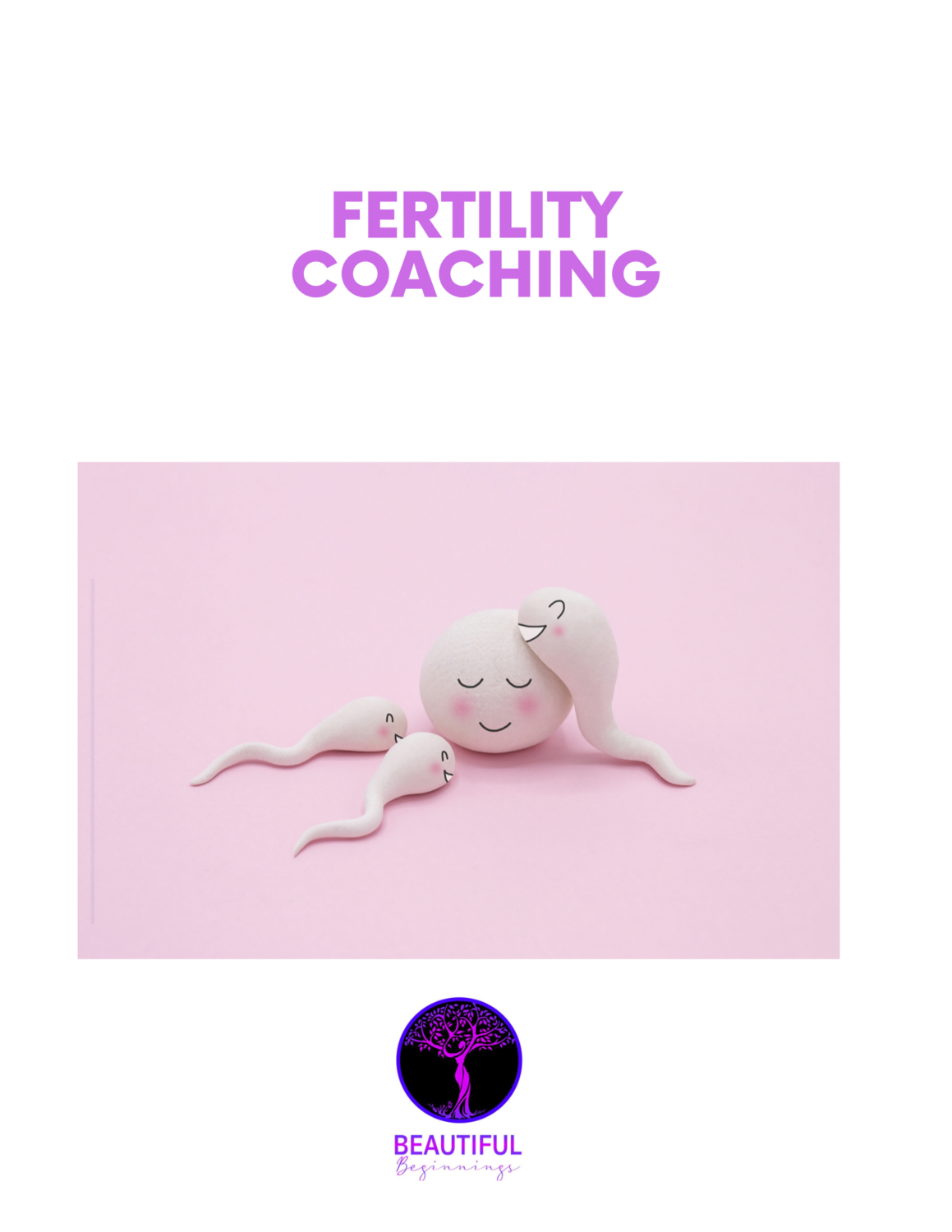 90 Day Fertility Coaching Program