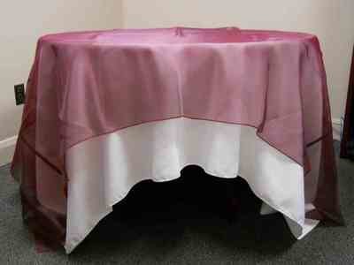Organza Overlay (90 Organza Overlay (90