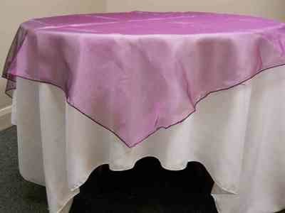 Organza Overlay (90 Organza Overlay (90