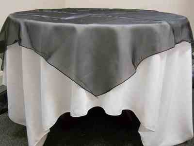 Organza Overlay (90 Organza Overlay (90