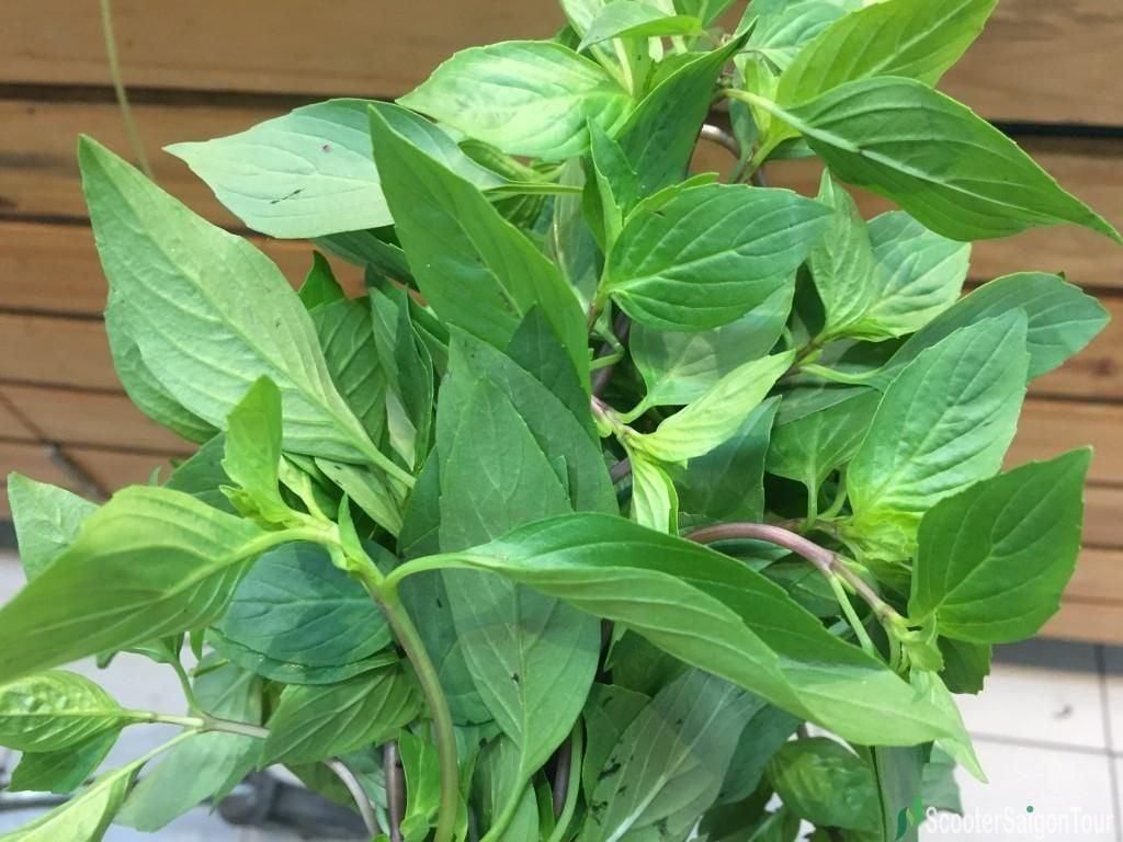 Vietnamese Basil Leaves – 100g Pack