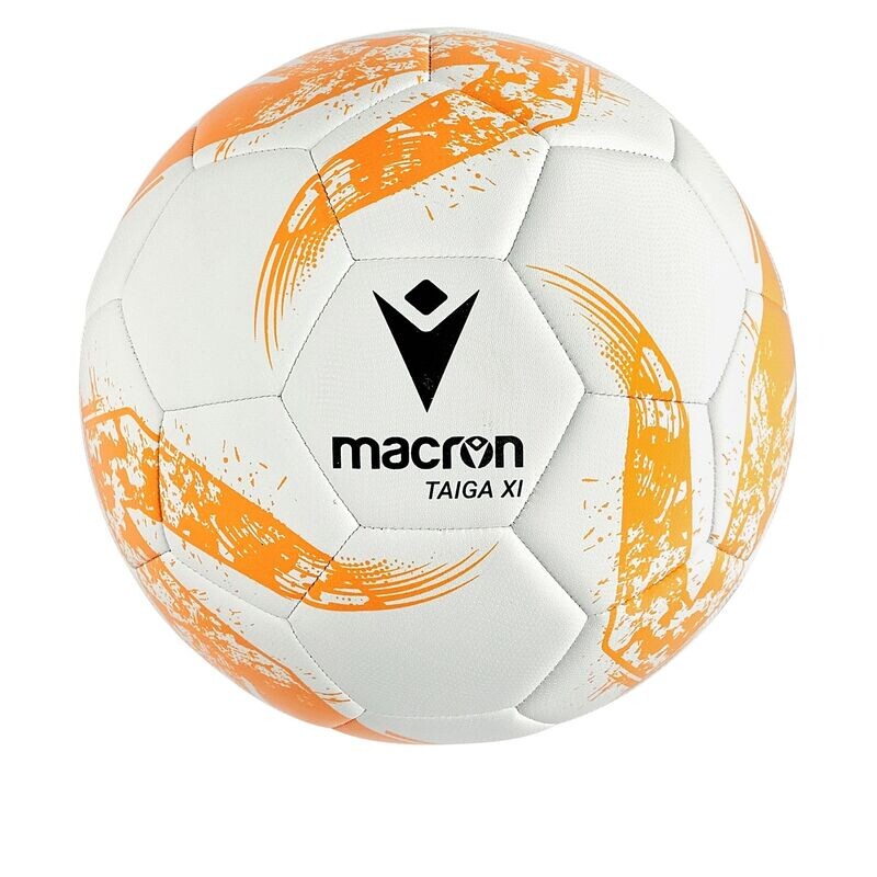 12 Training Balls and Ball Bag