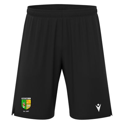 Aster Shorts Aster Shorts