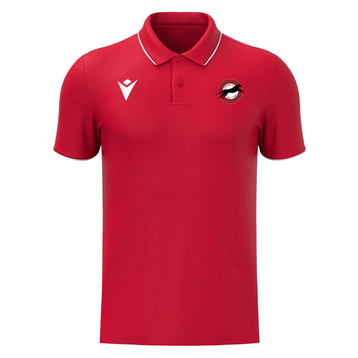 Draco Polo Draco Polo