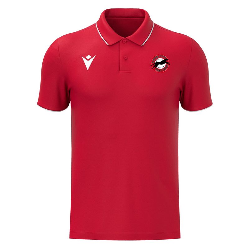 Draco Polo