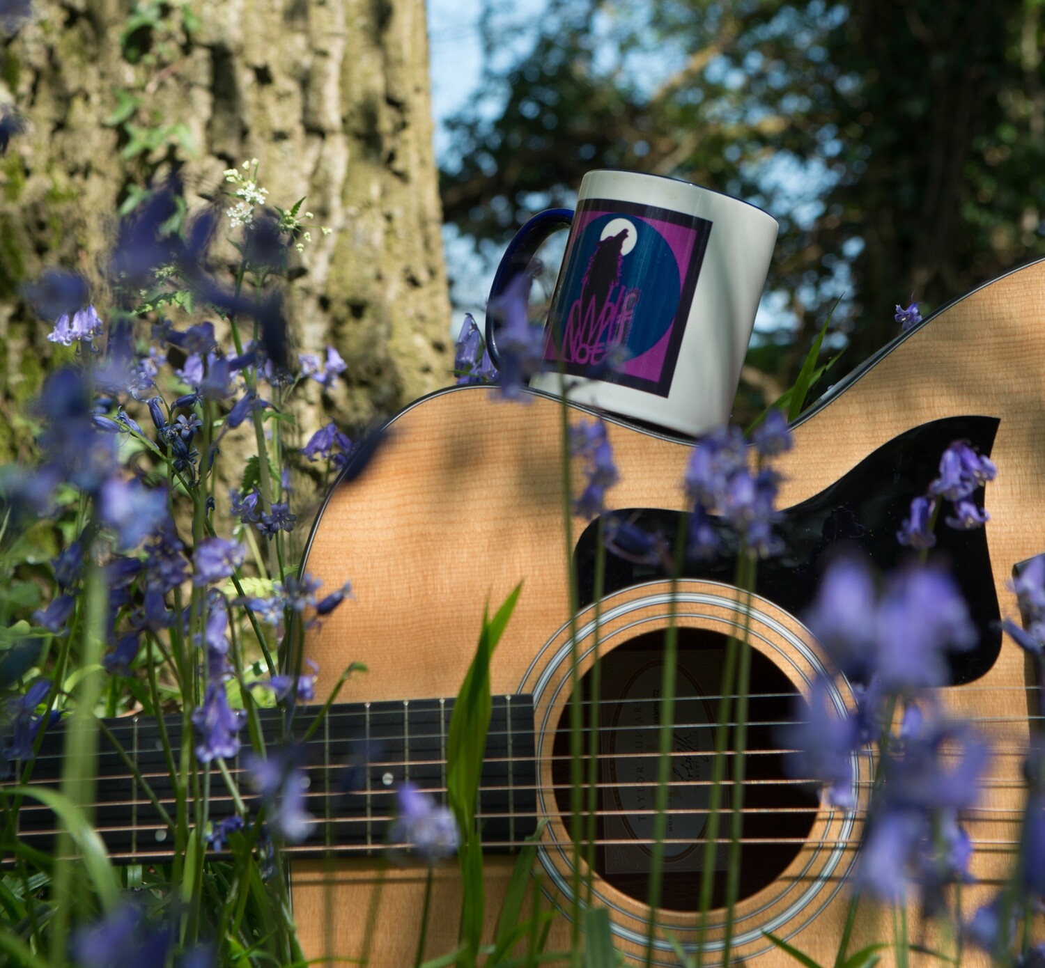 CD Album Herding Cats