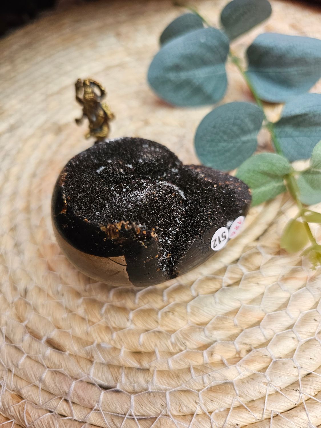 Septaria sauvage oeuf n°512