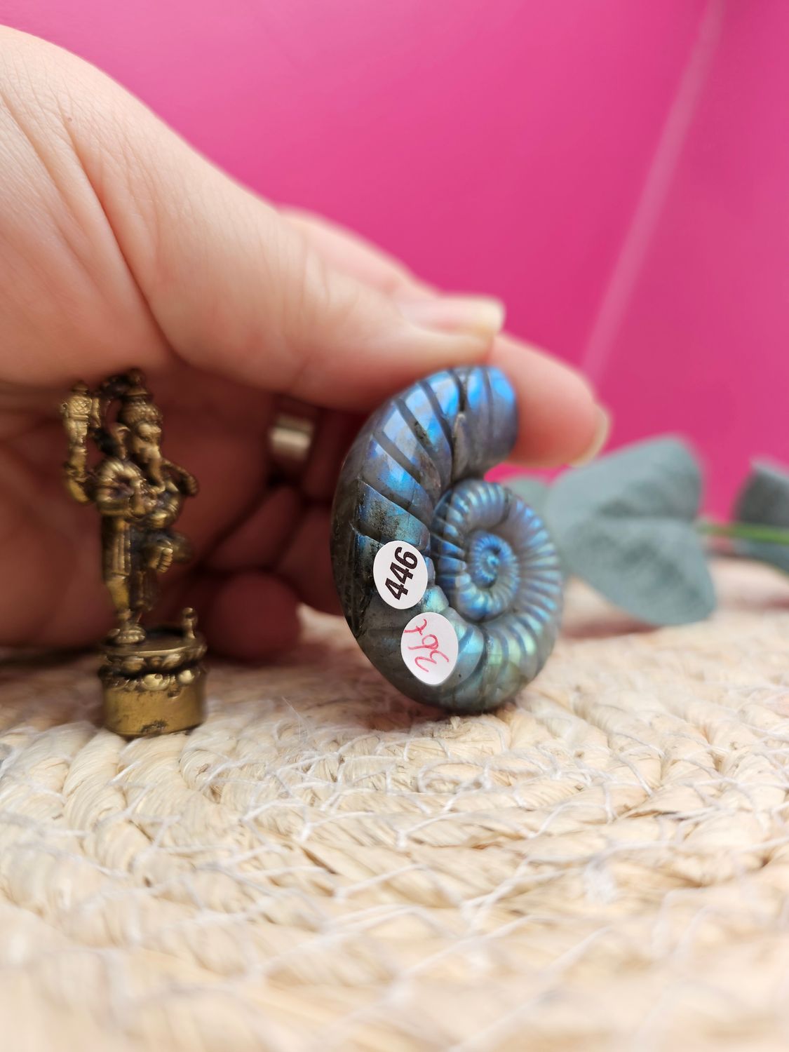 Coquillage labradorite n°446
