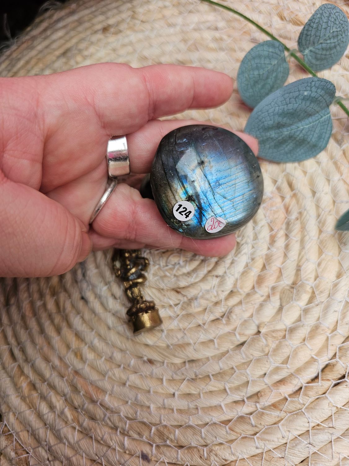 Champignon en labradorite n°124