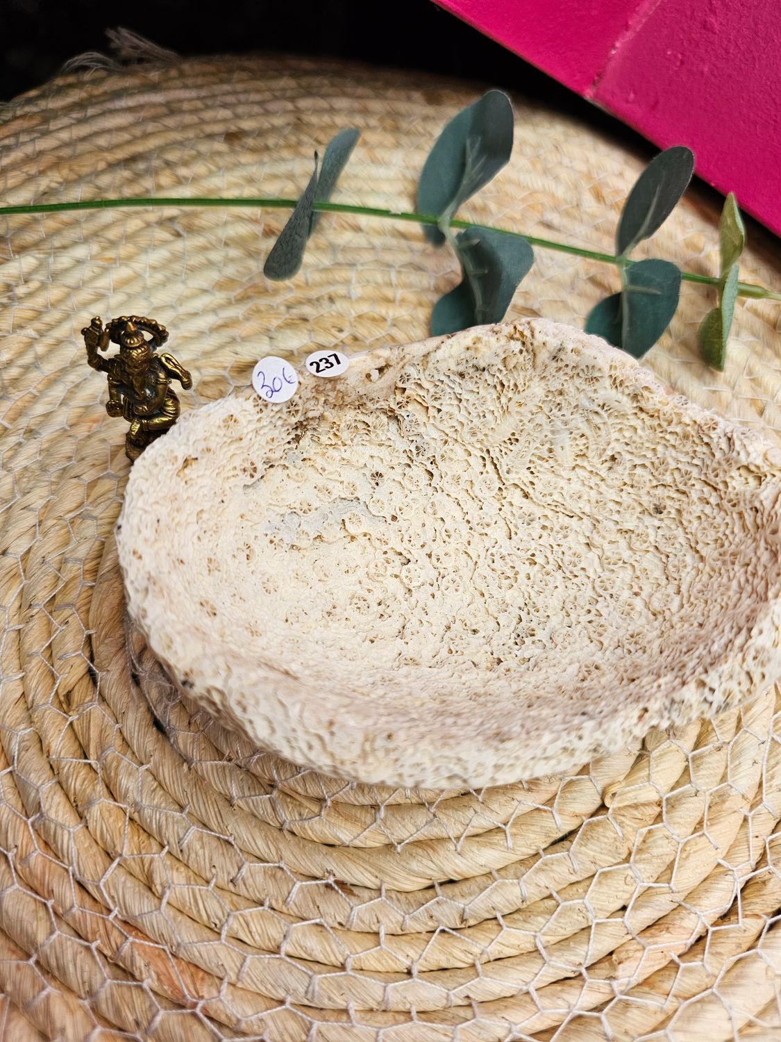 Corail Fossilisé coupelle n°237