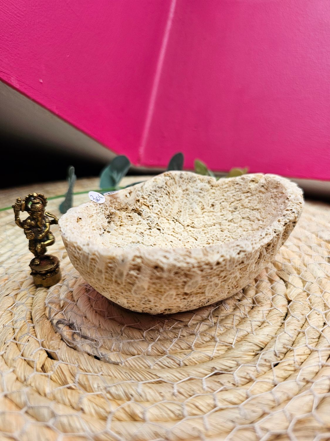 Corail Fossilisé coupelle n°240