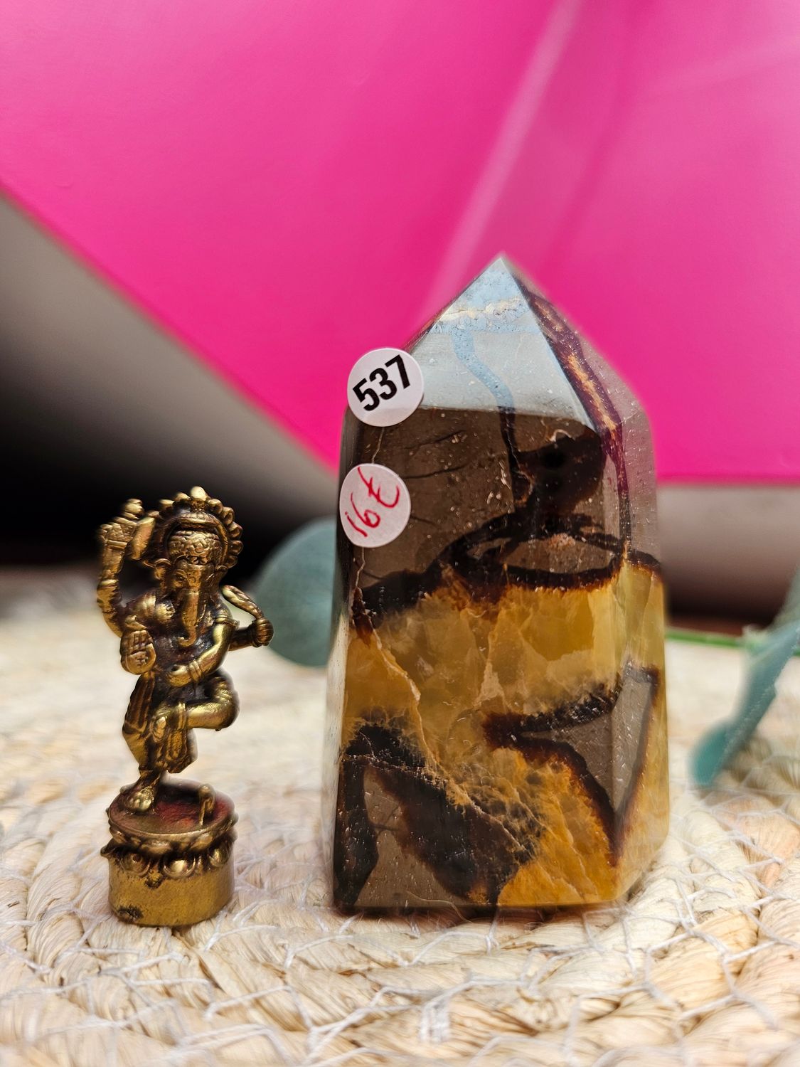 Pointe en septeria n°537