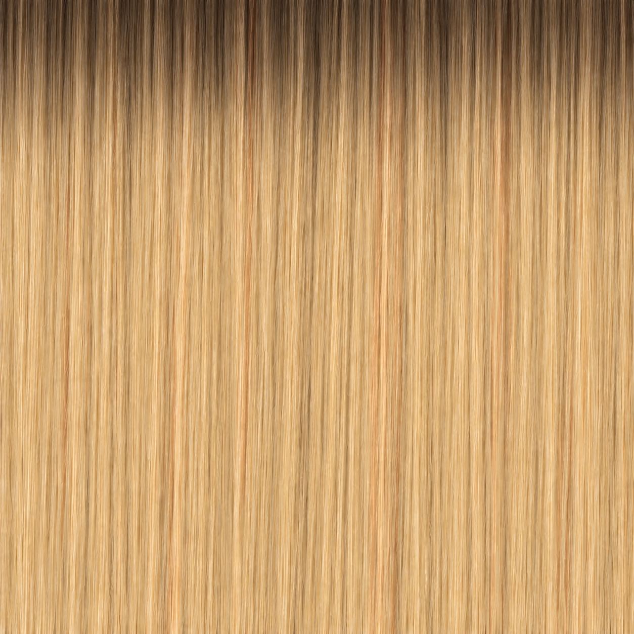 Extensions Bandes adhésives naturelles vierge Russes Extensions Bandes adhésives naturelles vierge Russes, Couleur: T2/27 : Tie and dye chatain/blond doré